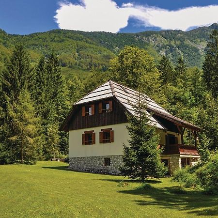 Chalet Primus Near Soca Gorge - Happy Rentals Exteriér fotografie