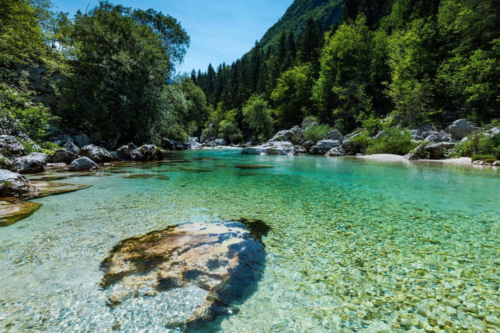 Chalet Primus Near Soca Gorge - Happy Rentals Exteriér fotografie