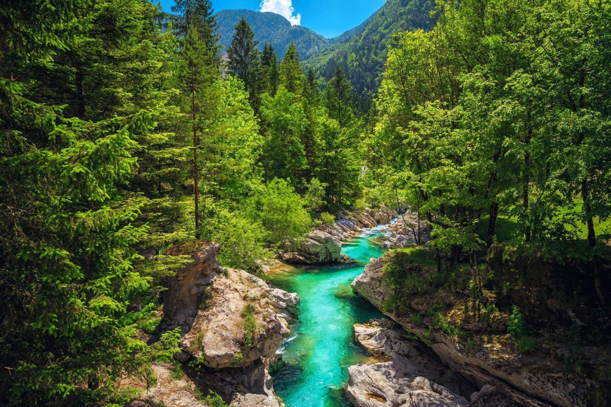 Chalet Primus Near Soca Gorge - Happy Rentals Exteriér fotografie